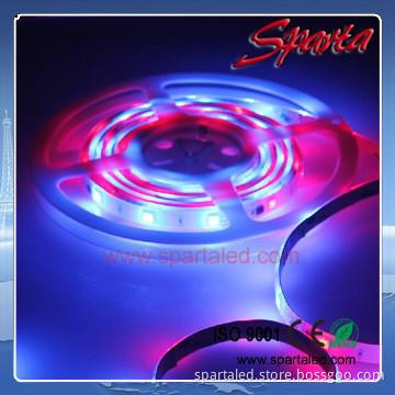 IC ws2811 led strip 5050